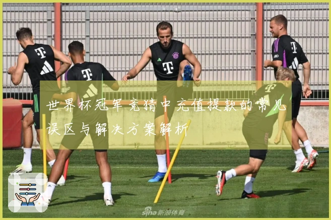 世界杯冠军竞猜中充值提款的常见误区与解决方案解析