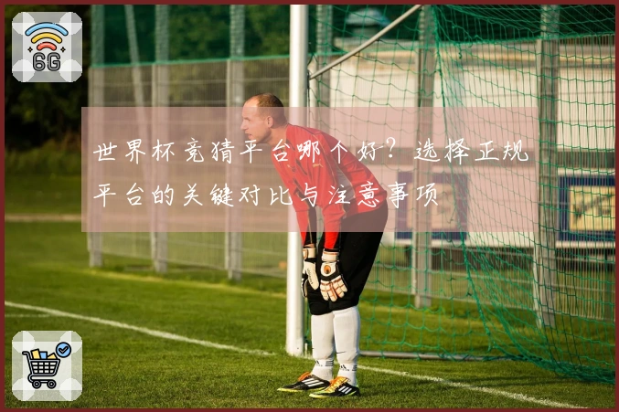 世界杯竞猜平台哪个好？选择正规平台的关键对比与注意事项