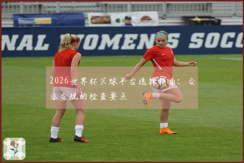 2026世界杯买球平台选择指南：合法合规的检查要点