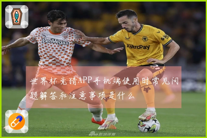 世界杯竞猜APP手机端使用时常见问题解答和注意事项是什么