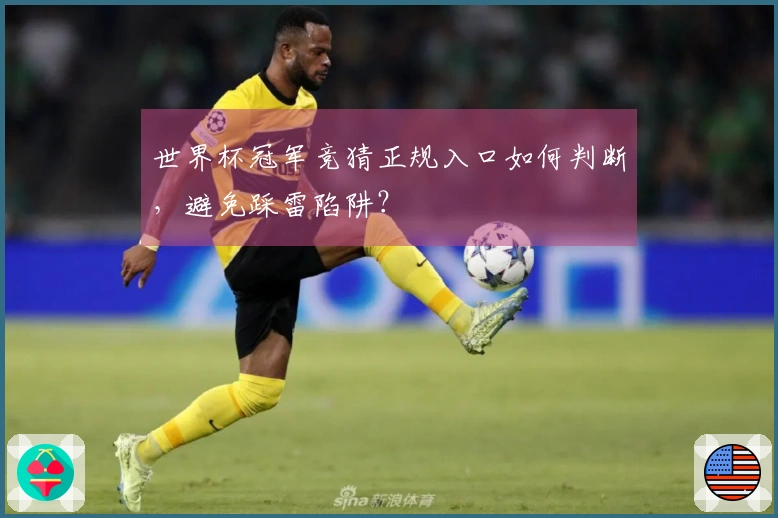 世界杯冠军竞猜正规入口如何判断，避免踩雷陷阱？