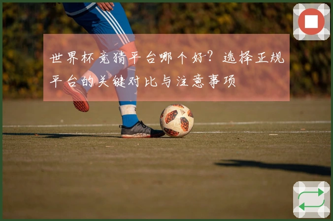 世界杯竞猜平台哪个好？选择正规平台的关键对比与注意事项